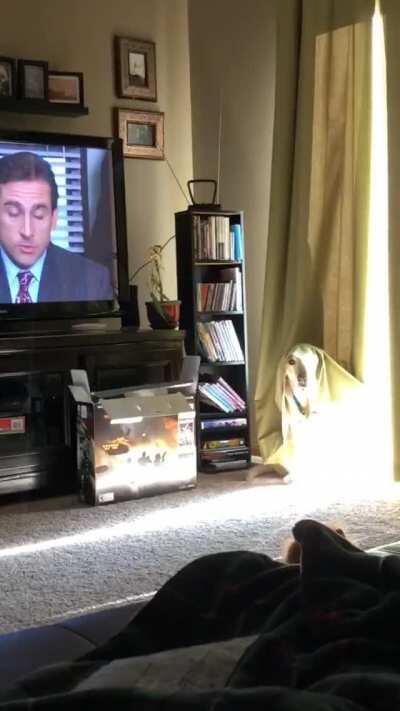 I believe he has joined the Dark Side.