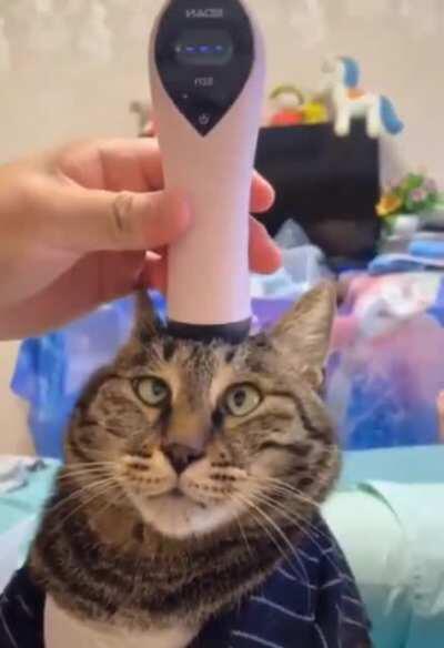 Pussy massager