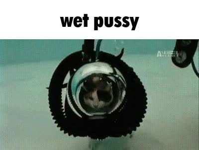 That is one wet pussy