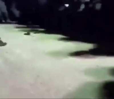 WTF BASED HAMAS RAT?