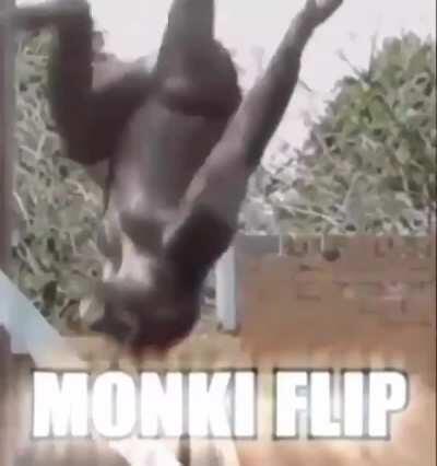 Monki flip dominando😎