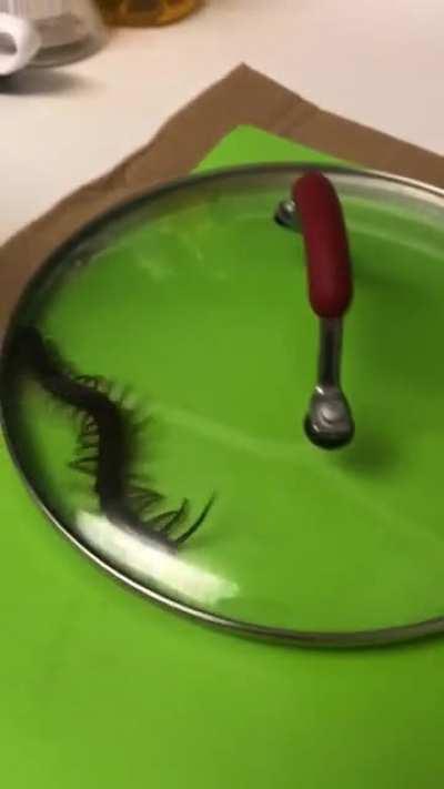 Move to Hawaii, it is a paradise, people say…