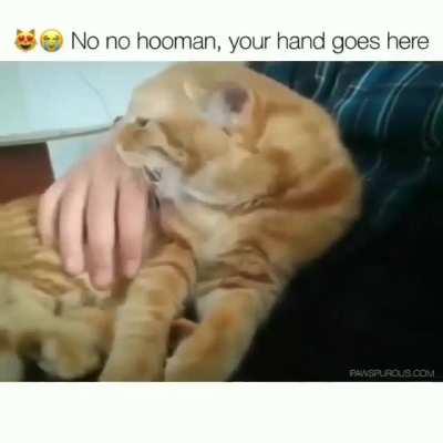 Her hand at the end ❤️