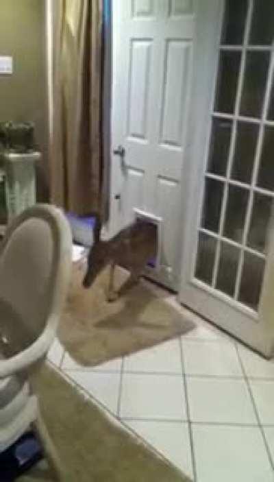 Breaking and Entering