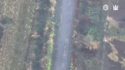 Birds of Magyar show some of their FPV drone hits on Russian targets in Donetsk region