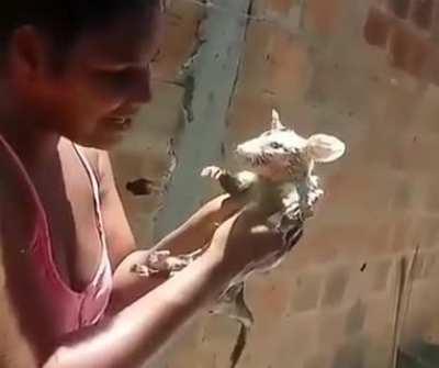 Almoço dos crias 😋