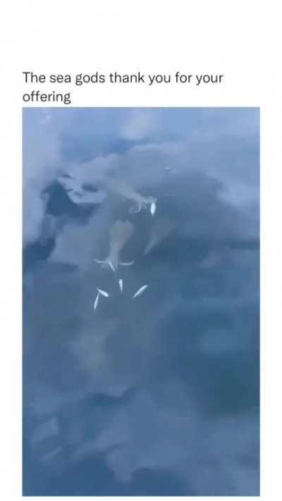 I thought they were fingers of mermen.