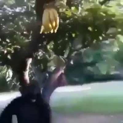 NOnoNOnoNooOo Me baNAasS