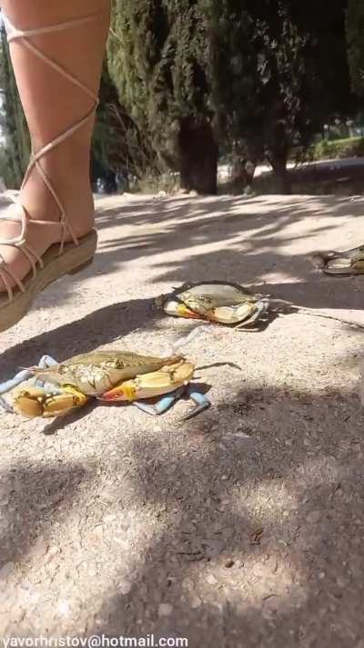 Girl crush crabs