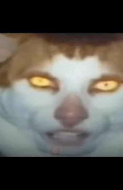 you shakr is: circle circle ⭕ one-big🔴🦈