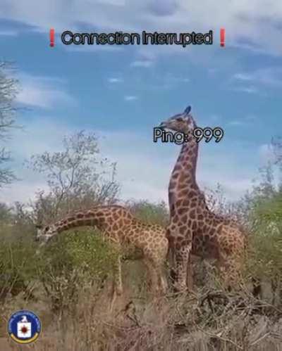 Leaked footage from secret CIA documents