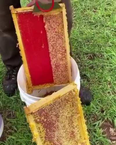 It&rsquo;s Wednesday POGGERS