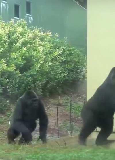 Me and the boys on our way to lock the float