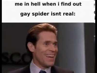 gay gay spider gay spider