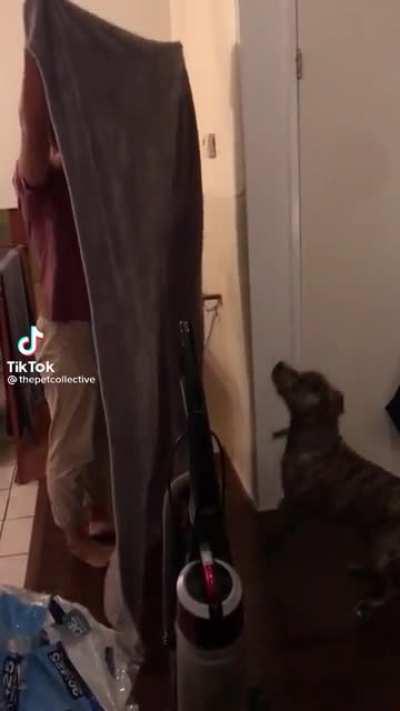 HMC while I show the dog a magic trick