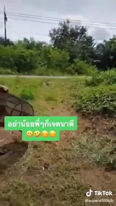 If you love something, set it free.