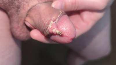 Just Hit Day 7 - Does everything look okay?