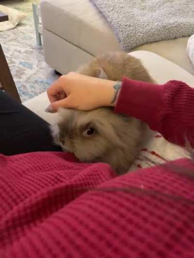 I think he loves me 🥰