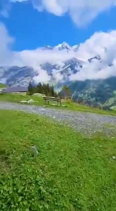 我什么时候也可以上这种厕所