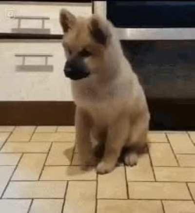 The whole sub right now!