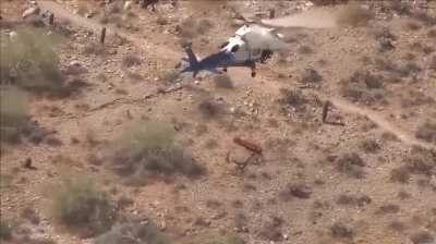 Grandma broke her nose hiking and didn't want the helivac. She won $450k lawsuit