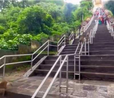 This should be in the Olympics