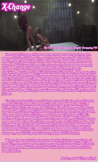 Aaron, now Erin, a hapless gimp