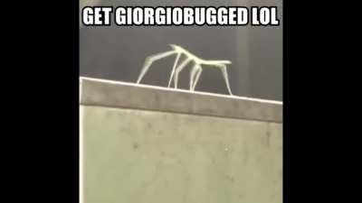 Such an amazing Giorgio interview. I love this snippet in particular!