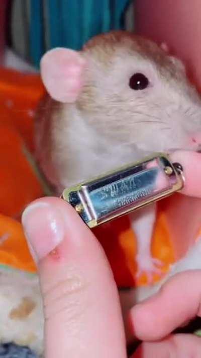 idk if this has been posted yetunkus