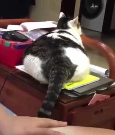 Thicker than a bowl of oatmeal