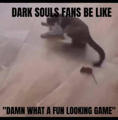 DO A BARREL ROL AMIRIGHT FELLAS? AMIRIGHT?