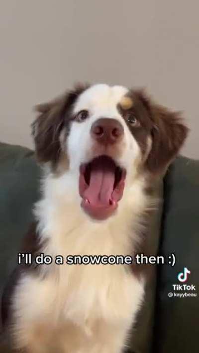 Dude, pick a household drink!