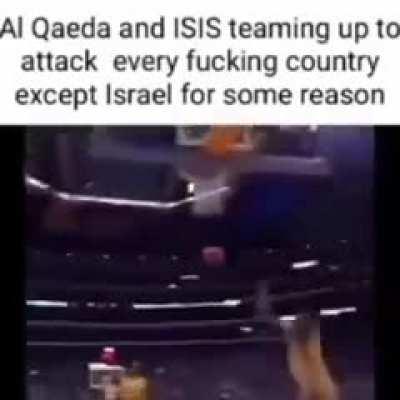 rodentintercourse - Video #3053