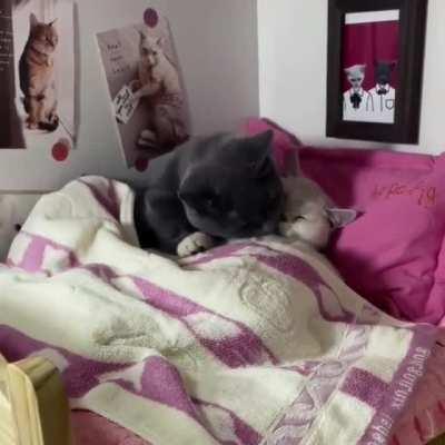 Любовь это...