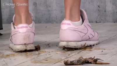 Crawfish sneakers crush