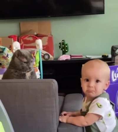 Cat’s like “wtf i barely even touched him”