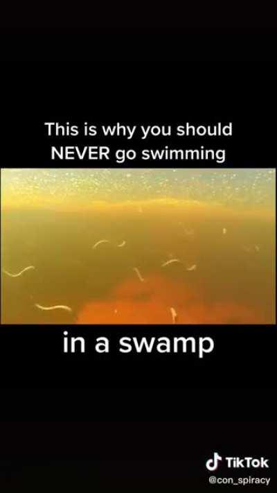 I’d choose to swim with sharks over these any day of the week