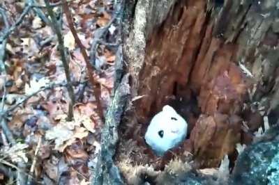 Really. Please don’t.