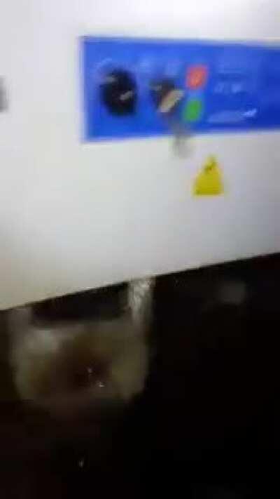 Electrical engineering level 55 required