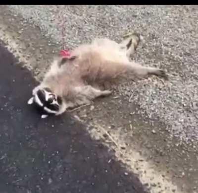 Hope he recovers soon