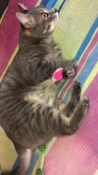 My sweet killa-Dennis