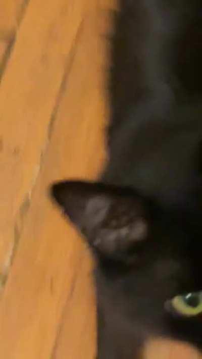 Everybody… meet Walter. He starts this at 4am every day.