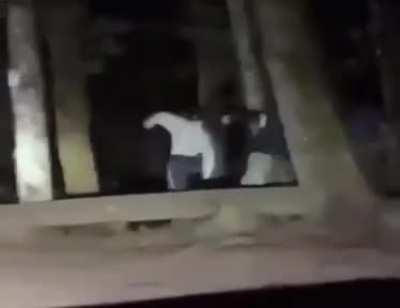 First time playing woods at night. The Chad Squad hunting me down