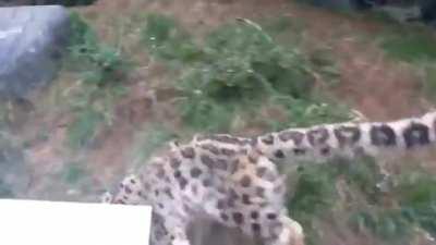 Me, unmedicated on a Tuesday afternoon colorized...