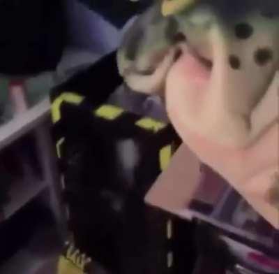 you guys like AAAAAAAAAAAAAAAAAAAAAAa