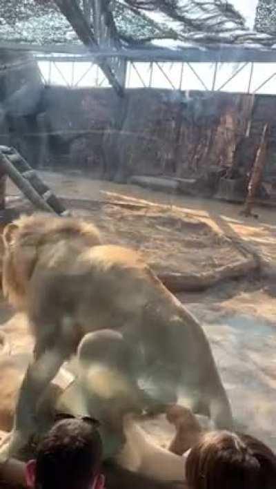 Think twice before taking the kids to the Zoo 😂😂