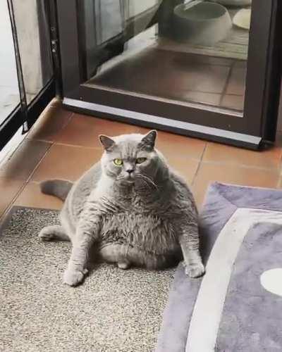 Should’ve named her Jabba