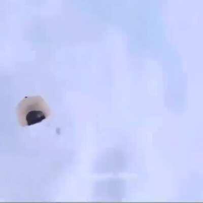 Bobby when he steps out tomorrow 😂