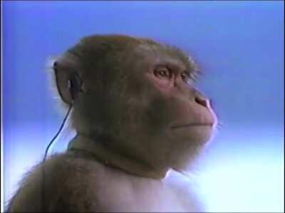 Eu vou comer seu 👌🏻no Uno