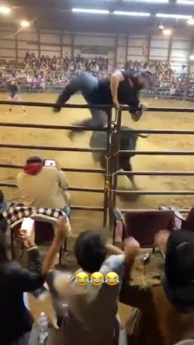 And the crowd goes wild!